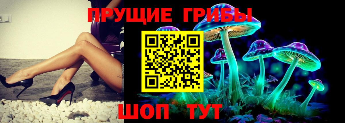 Псилоцибиновые грибы прущие грибы  Вход с VPN  Рязань 