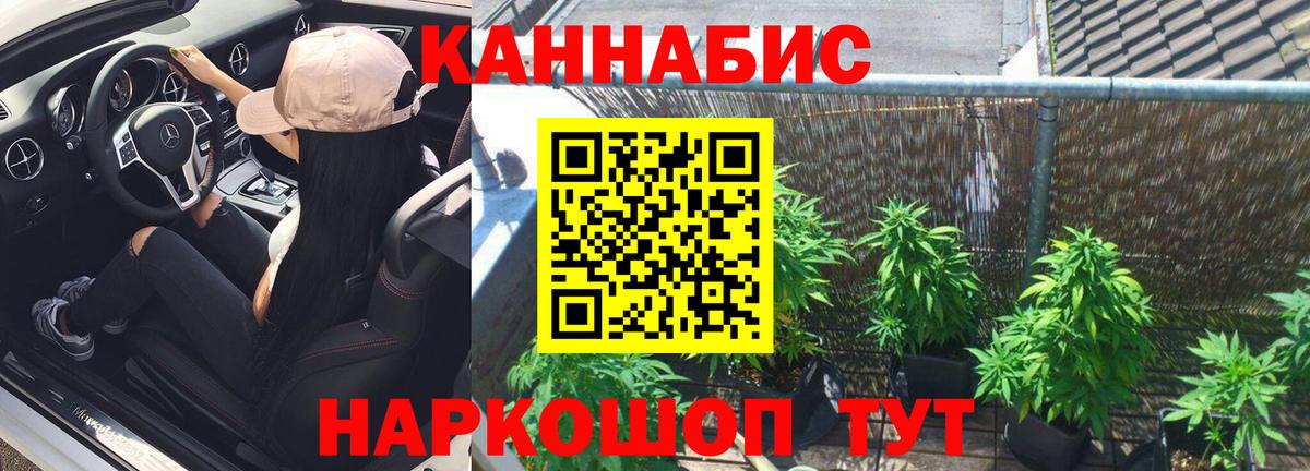 Рязань  Канабис индика  Вход с VPN  Канабис план  Бошки марихуана OG Kush 